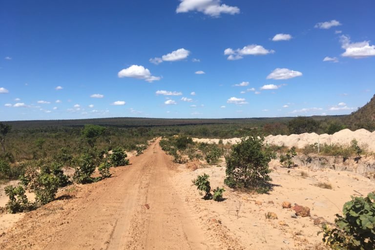 EU’s anti-deforestation bill leaves out critical ecosystems, study shows